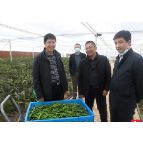 省教育厅调研组莅临湘北职专进行师德师风调研