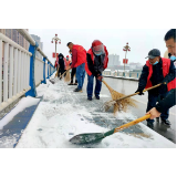 二都陈氏社：党员干部志愿者义务清扫积雪