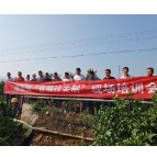 维新镇:以“首厕”为标准,改出农村新面貌