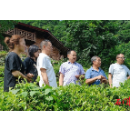 石门县、“石门银峰”、茶人丁芙蓉同时入选全国“百县•百茶•百人”荣誉榜