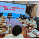 楚江街道：开展发展壮大社区集体经济调研座谈会