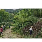 新关镇：做好森林防火三项“功课”