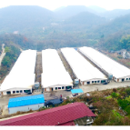 【盘活资产型】石门县新铺镇岳家棚村：打好“三张牌”，集体资产“活”起来