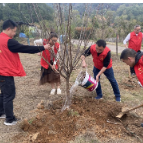 夹山管理处：开展“共植一抹绿，一起‘森’呼吸”新时代文明实践志愿服务活动