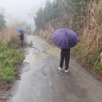 所街乡：开展地质灾害点隐患巡查工作