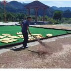 所街乡柳家台村:多元化集体经济增收 增添乡村振兴新活力