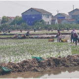 蒙泉镇梅家河村：抓好春耕备耕 夯实丰收基础