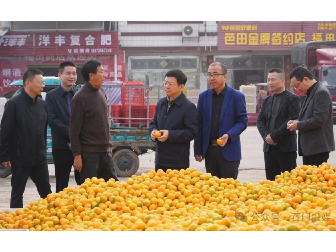 吴兴国赴夹山镇调研督导当前重点工作