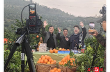 石门：“一元钱的承诺” 一场跨越山海的爱心助农直播