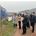 石门县加强防汛减灾与地质灾害防治工作