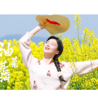 金色花海邂逅诗与远方！石门：“花田经济”激活乡村振兴新动能