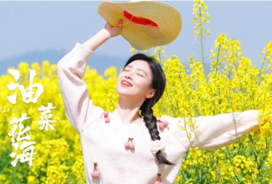金色花海邂逅诗与远方！石门：“花田经济”激活乡村振兴新动能
