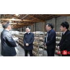 吴兴国调研群众身边不正之风和腐败问题集中整治工作