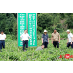 省人民检察院调研组到两河口村调研乡村振兴工作