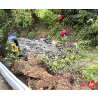 子良镇：山雨急处见赤诚，护林路上显担当