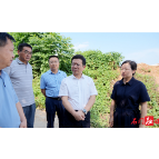 吴兴国督导秸秆禁烧与综合利用工作
