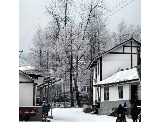 组图 | 石门：银装素裹 东山峰美成童话