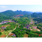 【非凡“十四五”】 三圣乡:五载深耕绘就乡村振兴新图景