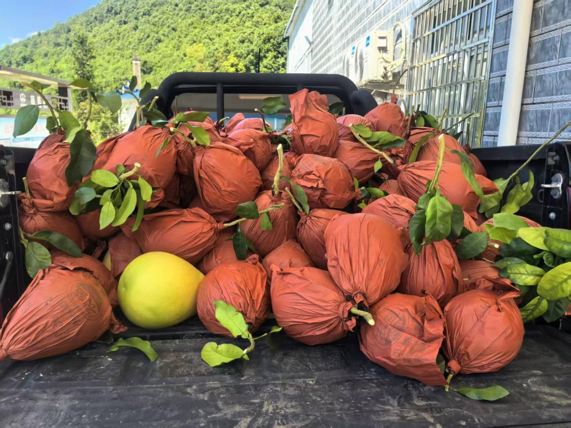 农业局2.png 农业局2.png