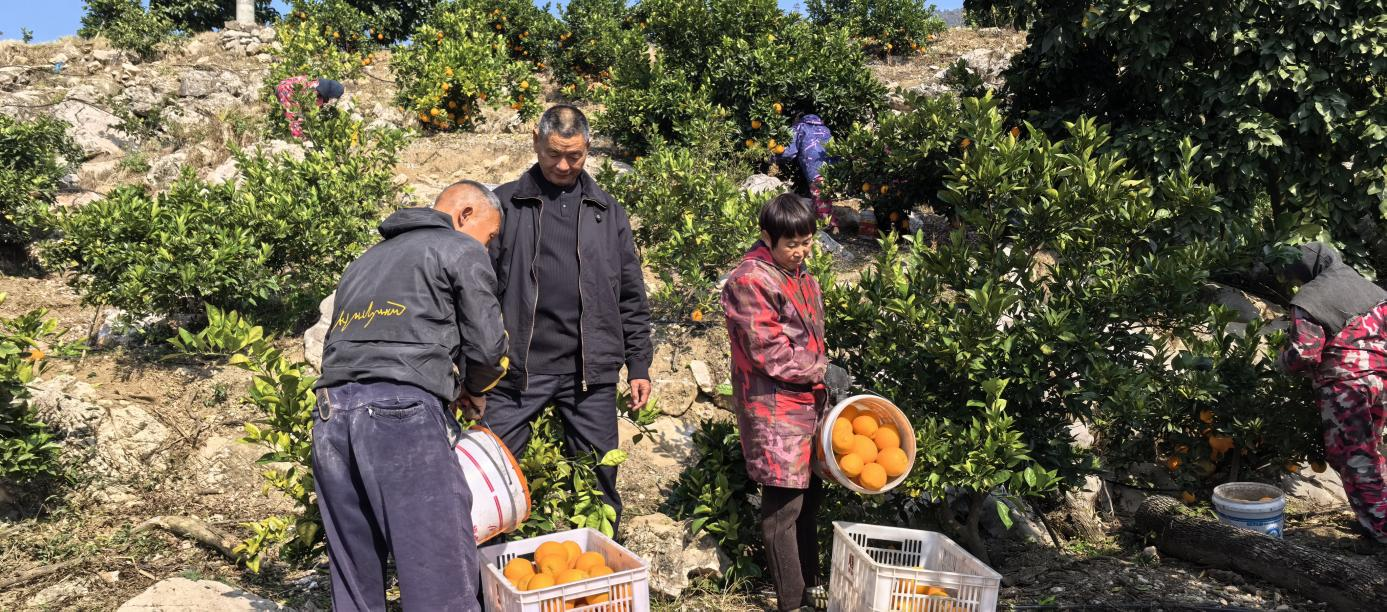 农业局4.png 农业局4.png