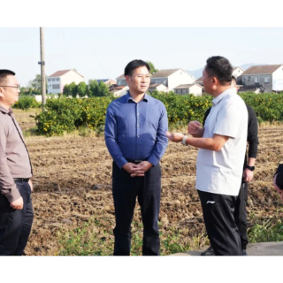 李长春调研机耕机播稻田翻耕和秸秆综合利用工作