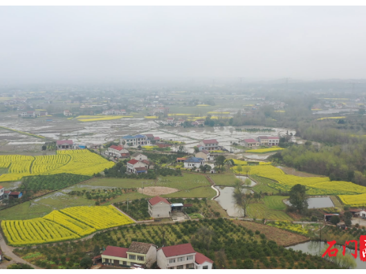 石门：“田保姆”上岗 春耕有保障