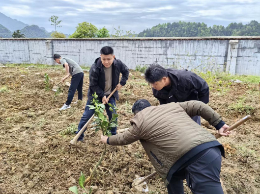 所街乡：柑橘品改正当时 农技指导到田间