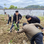 所街乡：柑橘品改正当时 农技指导到田间