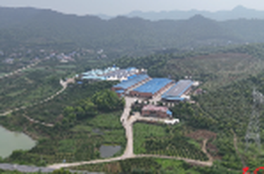 石门：鸡粪“变身”有机肥 绿色循环助春耕