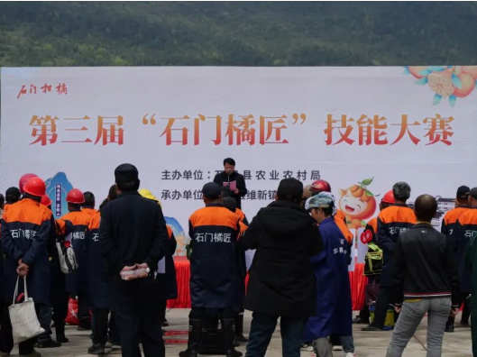 石门“金剪刀”柑橘剪枝大赛火热开赛！