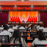 楚江街道：举行庆祝中国共产党成立105周年大会
