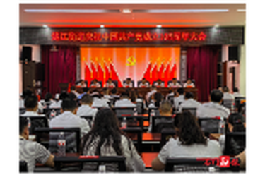楚江街道：举行庆祝中国共产党成立105周年大会