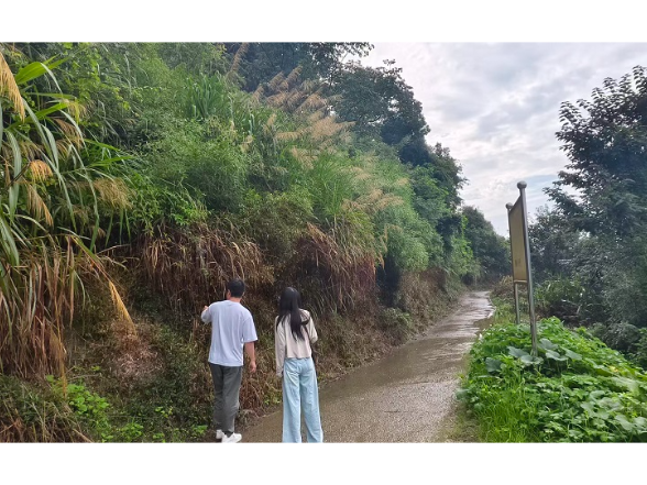 防汛抗灾进行时 | 白云镇：闻“风”而动  筑牢汛期地质灾害“防护墙”