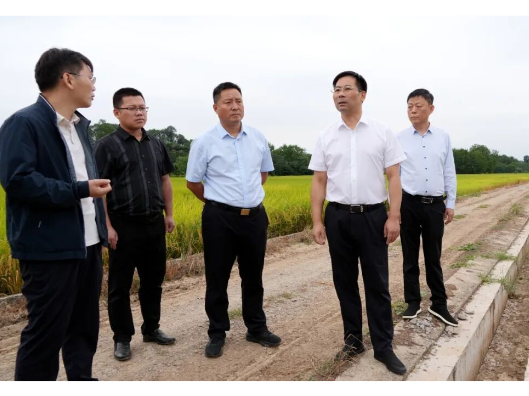 李长春专题调研群众身边不正之风和腐败问题集中整治工作