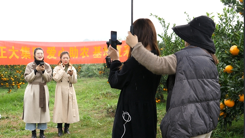 微信图片_20201102102042.jpg