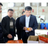 邓碧波赴夹山镇督导柑橘销售及脱贫攻坚工作