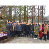 石门县老科协林业分会开展古树认养活动