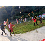 磨市镇：苦荞喜获丰收，“苦产业”甜了农户心