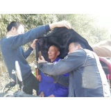 维新镇：一件事一次办，走心更暖心