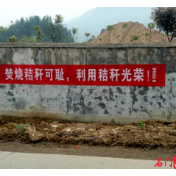夹山镇：整治秸秆焚烧 打赢蓝天保卫战