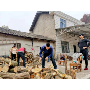 维新镇：用行动“帮扶”，用汗水贴心