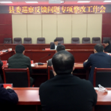我县召开县委巡察反馈问题专项整改工作会