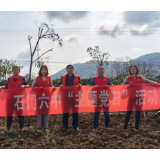 石门六中：携手添新绿 共迎植树节