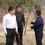 邓碧波实地督导雄黄矿区污染治理工作