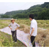 磨市镇：全面推进秸秆禁烧，打好蓝天保卫战