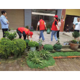 易家渡镇：城市文明添风采 最是动人“志愿红”