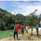 罗坪乡：开展二季度人居环境整治工作自清自查行动
