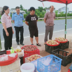 易家渡镇：整治马路市场 “软硬”出击有力量