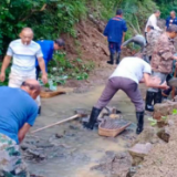 太平镇:“两联两包”聚民心,乡村治理显成效