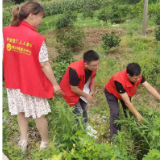 楚江街道：禁毒齐参与，毒品零容忍